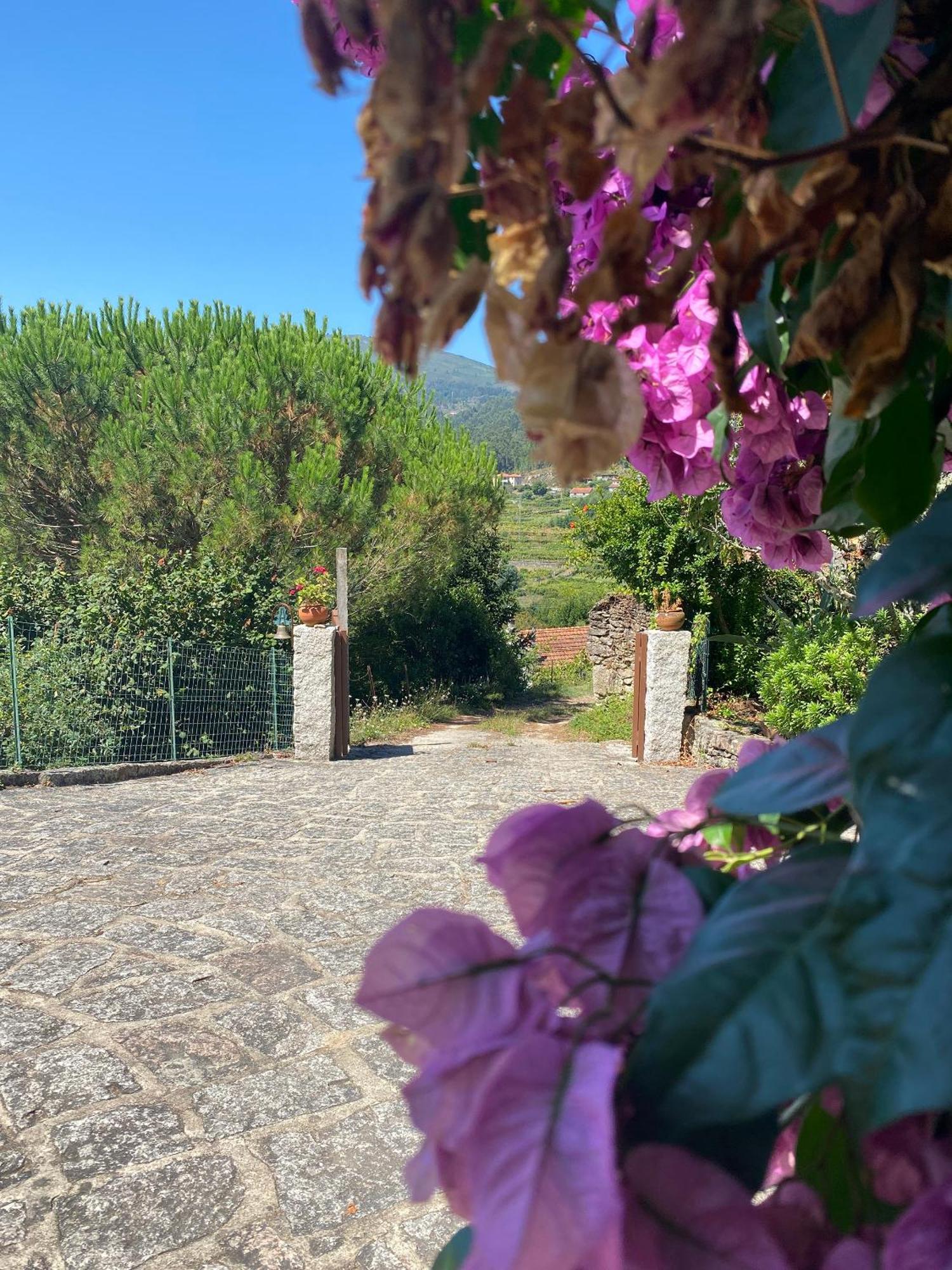 Villa De Fujacos 발렌사 외부 사진